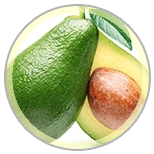 Dental Bright neem extract